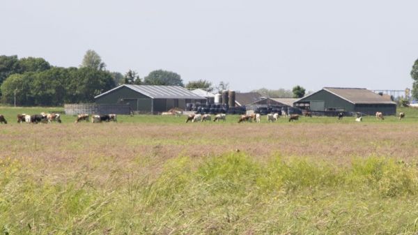 Agrarumweltmassnahmen Vorbild Niederlande