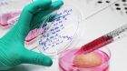 Cultured Meat in Vitro Cultured Meat in Vitro