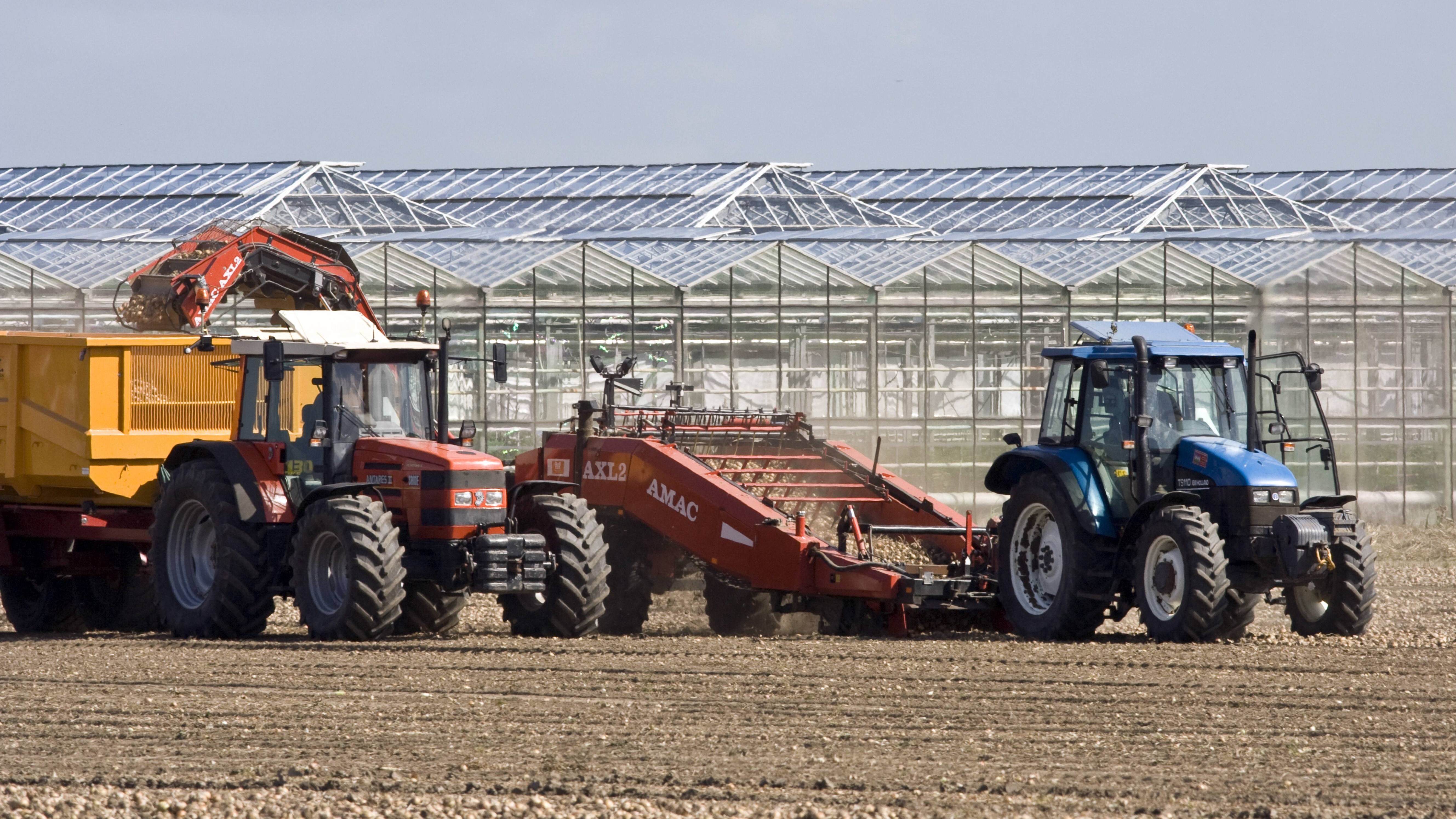 Niederlande Lto Begrusst Corona Krisenpaket