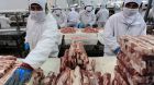 schweinefleisch China schweinefleisch China