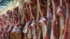 schweinehälften schweinehälften
