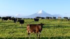 Neuseeland Neuseeland