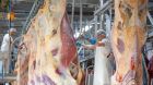 Vion Altenburg Rind Vion Altenburg Rind