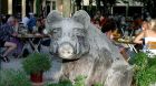 schwein biergarten schwein biergarten