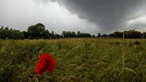 Gewitter In den nächsten Tagen ist mit heftigen Regenfällen zu rechnen.