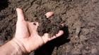 Humus carbon farming Humus carbon farming