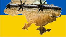 Ukraine weizen Flagge Aufgrund der russischen Blockade der Schwarzmeerhäfen liegen die Ausfuhren der Ukraine derzeit nur noch bei etwas über 1,0 Mio. t Getreide pro Monat.