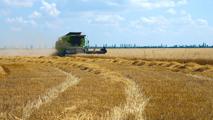 Weizen Ernte Ukraine Im vergangenen Jahr wurden in der Ukraine 31 Mio. t Weizen geerntet.