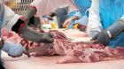 Zerlegung Schweinefleisch Zerlegung Schweinefleisch